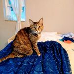 Margaret Clinch - @marimac1224 - Instagram