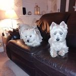 Margaret coates - @magsc25 - Instagram