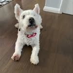 Margaret Coates - @coates1113 - Instagram