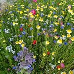 Margaret Coates - @coates5551 - Instagram
