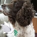 Margaret  Coles - @margaret159 - Instagram