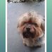 Margaret Coles - Facebook