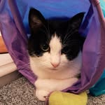 Margaret Coles - @margaret.coles.946 - Instagram