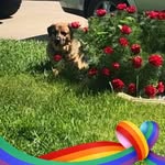 Margaret Collette-Plumtree - @colletteplumtree - Instagram