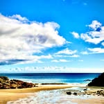 Margaret Collison - @margaret_collison66 - Instagram
