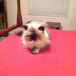 Margaret Conwell - @margaretconwell - Instagram