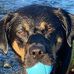 Margaret Coons - Facebook