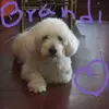 Margaret Corea - @margaret.corea - TikTok