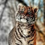 margaret coreau - @margaretcoreau - Instagram