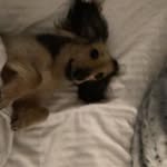 Margaret Cottingham - @margaretcottingha - Instagram