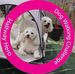Margaret Cottingham - Facebook