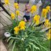 Margaret Crouch - Facebook