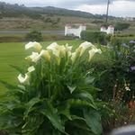 Margaret Cullen - @margaret.cullen.10 - Instagram