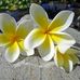 Margaret Cuthbert - Facebook