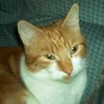 Margaret Davison - @margaretdavison701 - Instagram