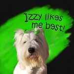 Margaret Lynn Denson - @m_lynn_denson - Instagram