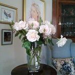 Margaret Dibble - @gdibz - Instagram