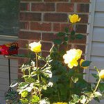 Margaret Doss - @marylou2415 - Instagram
