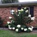 Margaret Doss - Facebook