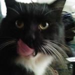 Margaret Dover - @dovermargaret - Instagram