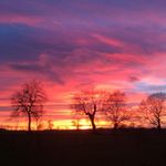 Margaret Durston - @margaretdurston - Instagram