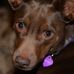 Margaret Echols - Facebook