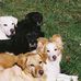 Margaret Dunn Eckert - Facebook