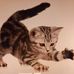 Margret Eilers - Facebook