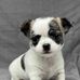 Margaret Eisenman - Facebook