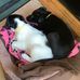 Margaret Ensor - Facebook