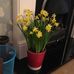 Margaret Eustace - Facebook