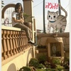 Margaret Saari Fast - @2169944598 - TikTok
