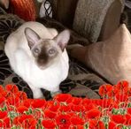 Margaret  - Facebook