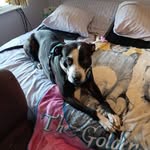 Margaret Fenner - @fenner4576 - Instagram