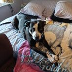 Margaret Fenner - Facebook