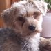 Margaret Forde - Facebook