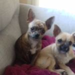 Margaret Fordham - @margaretfordham - Instagram