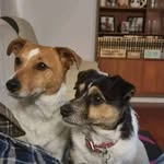 Margaret Freund - @5or8balfuj - Instagram