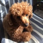 Margaret Gabel - @margaret.gabel - Instagram
