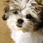 Margaret Gerber - @mgerber2424 - Instagram
