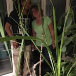 Margaret Gerber - @margaret.gerber - Instagram