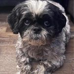 Margaret Gerber-Esser - @gerbs_gerbs - Instagram