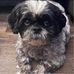 Margaret Gerber-Esser - Facebook