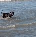 Maggie Given - Facebook