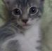 Margaret Givens - Facebook