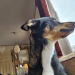 Margaret Givens New - @margaretgivensnew - Instagram