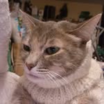 Margaret Tingley Gladding - @gladdingmargaret - Instagram