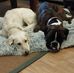 Margaret Glaser Mora - Facebook