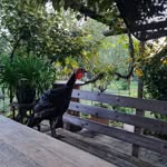 Margret Glaser - @margr.et51 - Instagram