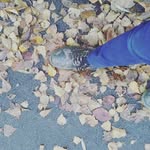 lenouch - @margaret.goblet - Instagram
